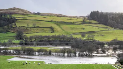 Flooded field