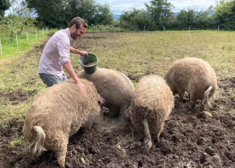 Stephen McMaster with his Mangalitza pigs