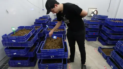 Full Circle Felix Collins