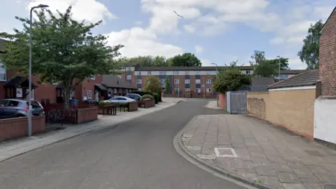 Google Rock Grove, Old Swan