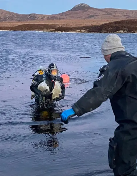 Scottish Water Diver at Loch Fada