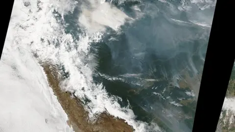 NASA Satellite image of forest fires burning in the Amazon rainforest, Brazil. 14th August 201