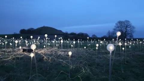 Serena Munro Field of Light