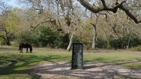 Philip Halling The Rufus Stone near Cadnam in the New Forest