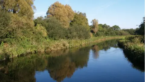 Adrian King River Test near Kings Somborne