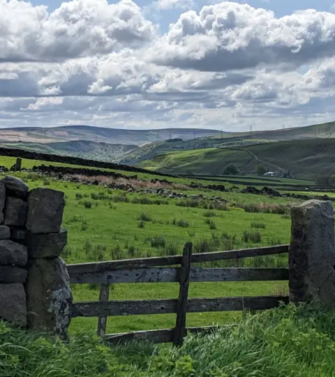 Yvonne Sowood Rolling hills seen behind a wall and gate