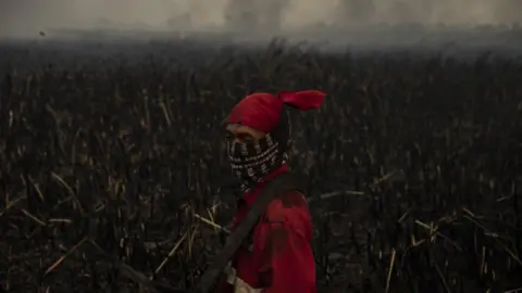 Getty Images A firefighter in Ogan Ilir, South Sumatra, Indonesia