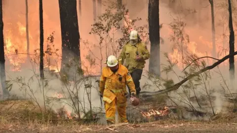 A fire front in New South Wales