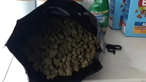 Northumbria Police Cannabis