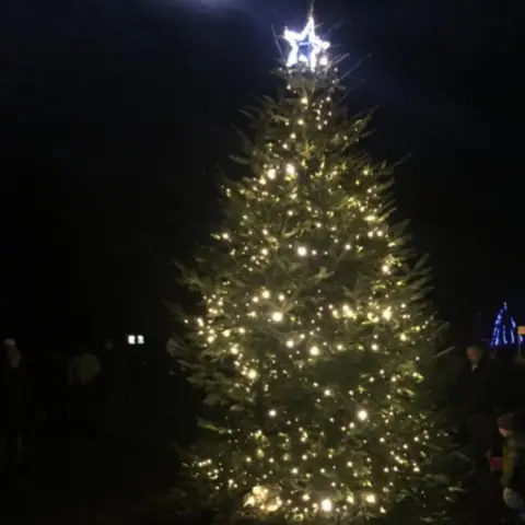 Lyndon Jones Murton's tree before it was vandalised