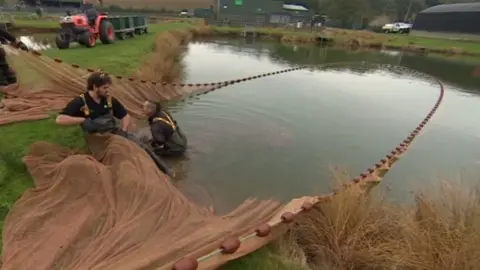 BBC fish farm ponds