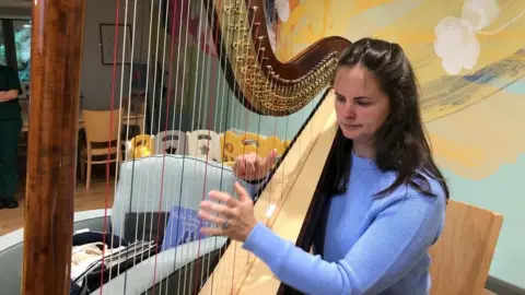 Harpist