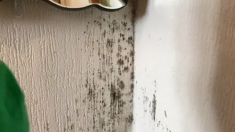Mould on walls