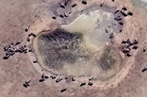 Maxar Technologies Satellite image of elephants around a watering hole in Addo Elephant park