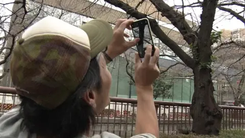 NHK A man taking a picture of a tree on his phone