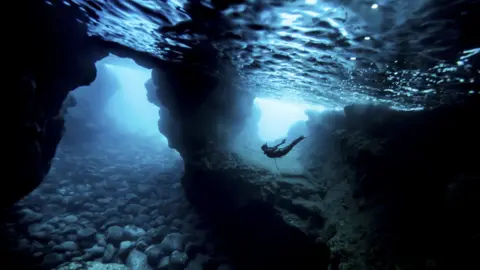 James Perrin Still from the film Fishpeople