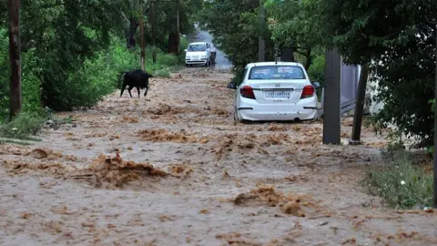 Getty Images Motorists and animals stranded in flooded road
