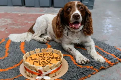 PDSA/Stuart Walker Max next to a 14th birthday cake