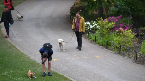 NEIL HALL/EPA Dogs in a park