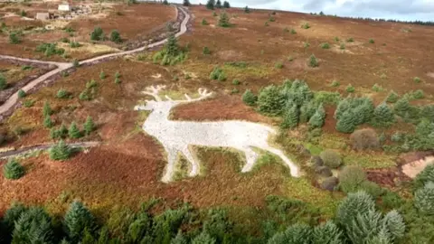 Mormond Hill Stag