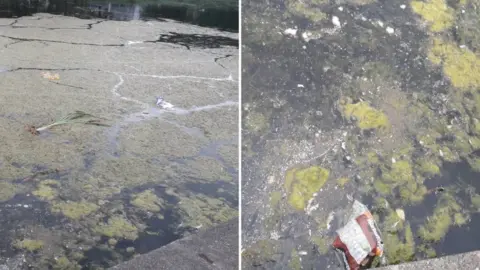 Elyn Uribe Park rubbish