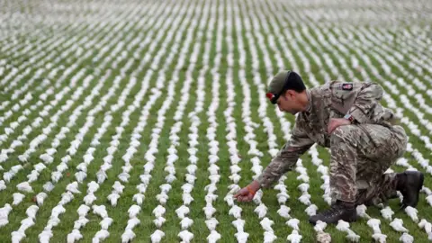 Getty Images Installation "Shrouds of the Somme'