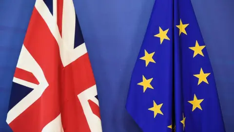 Getty Images UK and EU flags