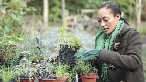 Getty Images Woman working on an allotment