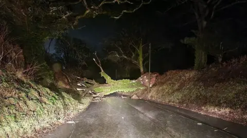 Shon Rees A road blocked by a fallen tree between Hermon and Llanfyrnach, North Pembrokeshire