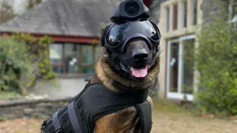 Heliguy Robodog