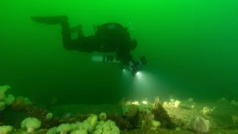 University of Dundee/PA Diver