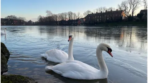 BBC and partially frozen waterworks in north Belfast