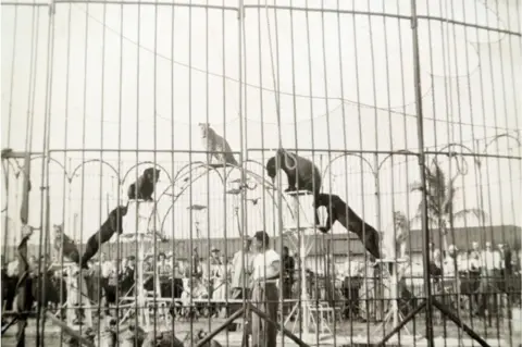 Mahendra Dhotre Collection Damoo Dhotre inside a cage with several wild animals