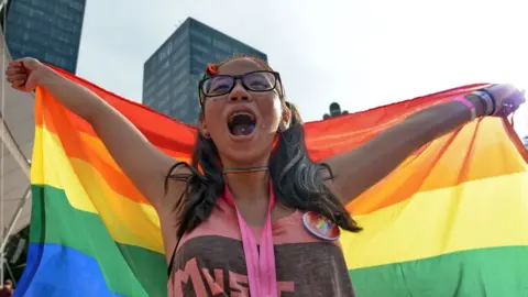 Getty Images A supporter attends the annual "Pink Dot" event in a public show of support for the LGBT community at Hong Lim Park in Singapore