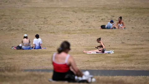 Getty Images People sunbathing in park