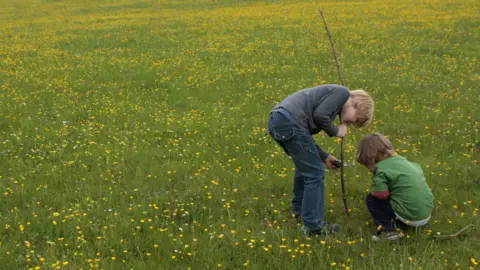 Two boys in a field of buttercups