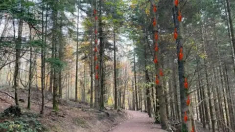 Forest of Dean Sculpture Trust Shovel Bugs installation