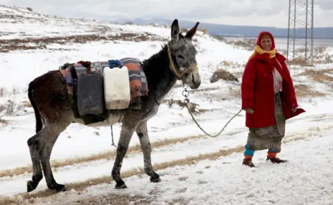Getty Images A woman in a bright red winter coat walks a donkey with smiling eyes in Thala, Tunisia - Friday 25 January 2019