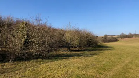 Mark Franklin/Woodland Trust Tidgrove Warren QGC Platinum Wood