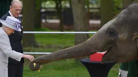 AFP Queen with the elephant, Whipsnade Zoo, Beds, 2017