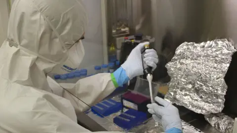 Susanna Sabin/University of Cambridge Beethoven's hair undergoes lab testing