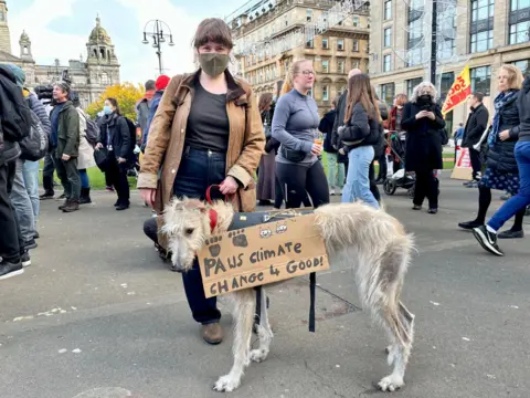 Dora the lurcher