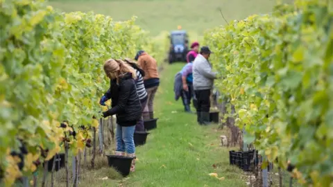 PA Migrant workers