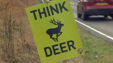 BBC Yellow sign saying "Think Deer"