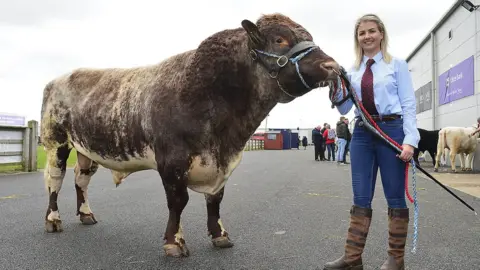 Pacemaker Leanne Green with her potential prize-winning bull at the Balmoral Show