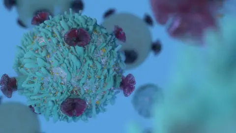 Getty Images An immune cell targeted by immunotherapy treatment