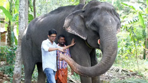 STR/AFP/Getty Dakshayani, an elephant that died in February 2019 aged 88