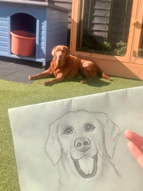 Woody the Lab Drawing of a dog