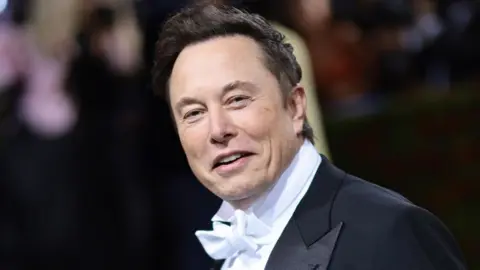 Getty Images Elon Musk