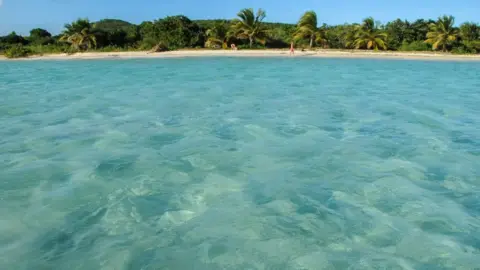 Getty Images Clear Caribbean water on the white sand beaches of Vieques, Puerto Rico